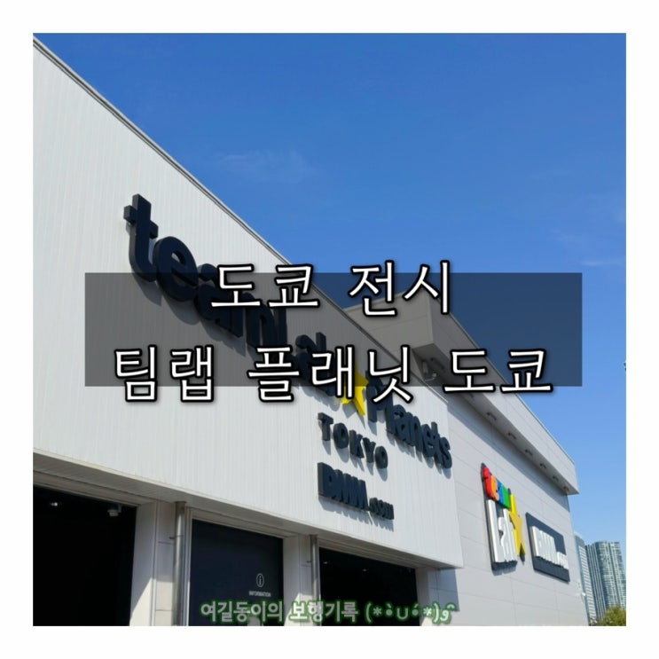  (3박 4일 도쿄 여행) 도쿄 전시 | 팀랩 플래닛 도쿄 전시 후기
