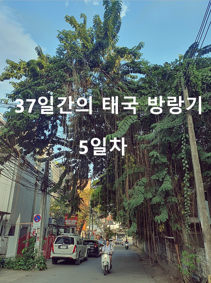  [태국 37일간의 방황기] 5일째 님만 해님 카페거리 Roast8ray 까이양청더이 마야 몰 원님만 화이트 마켓
