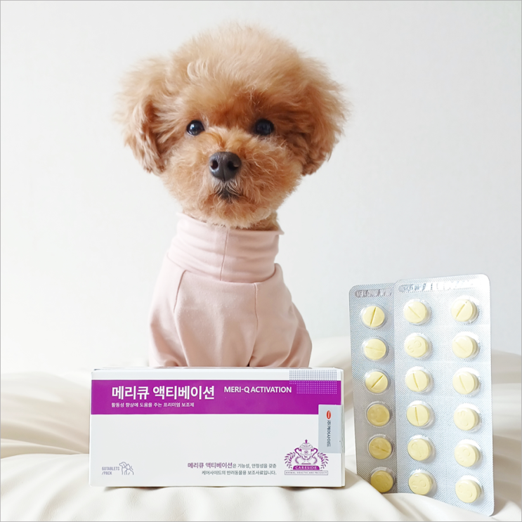 메리큐액티베이션 노견종합영양제 강아지 건강관리법