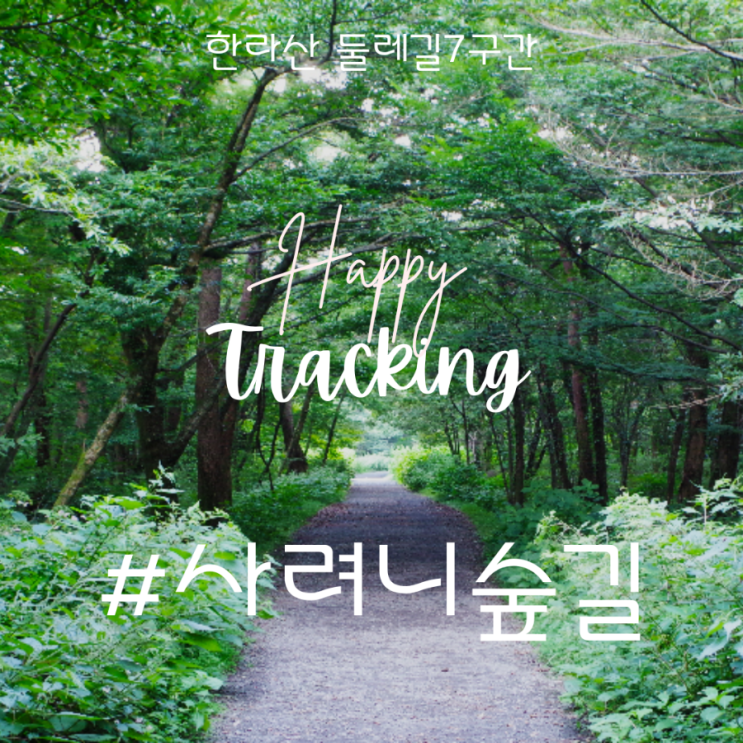  제주 만나는 날 [사려니숲길] 제주겨울여행 사려니숲길 코스 이동 방법 제주남쪽오름 - 오빠가 달리던 그 길은 요기~