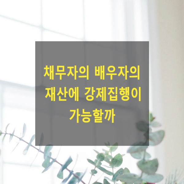  채무자의 배우자의 재산에 강제집행이 가능할까