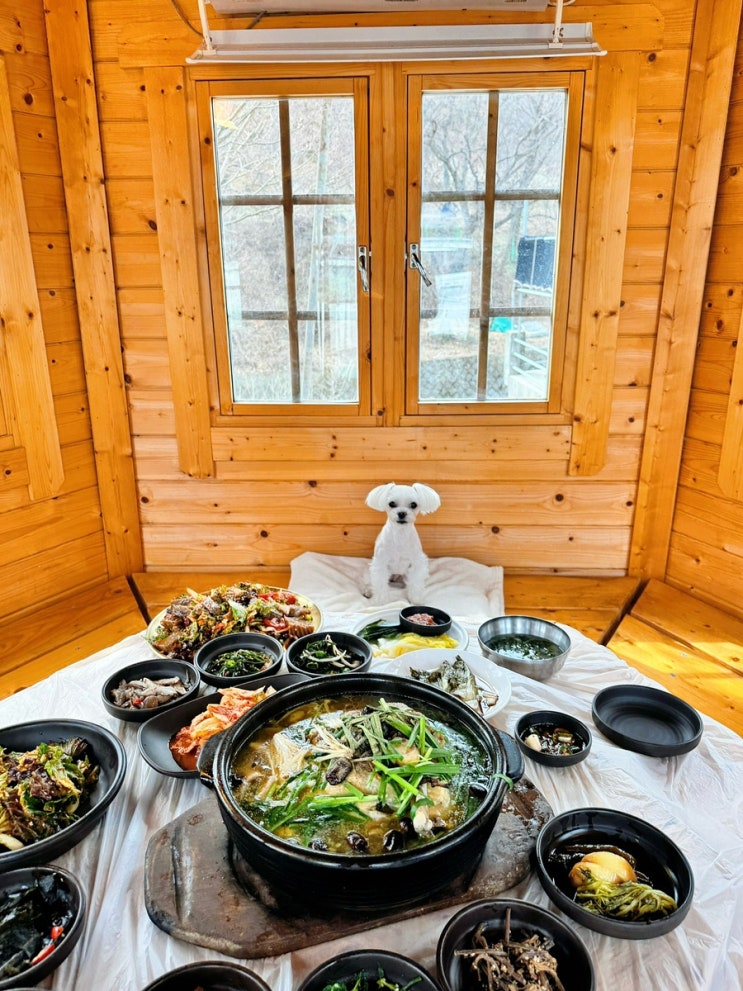  부산 애견동반식당 장안 감골가든 기장 계곡 백숙 방갈로 룸