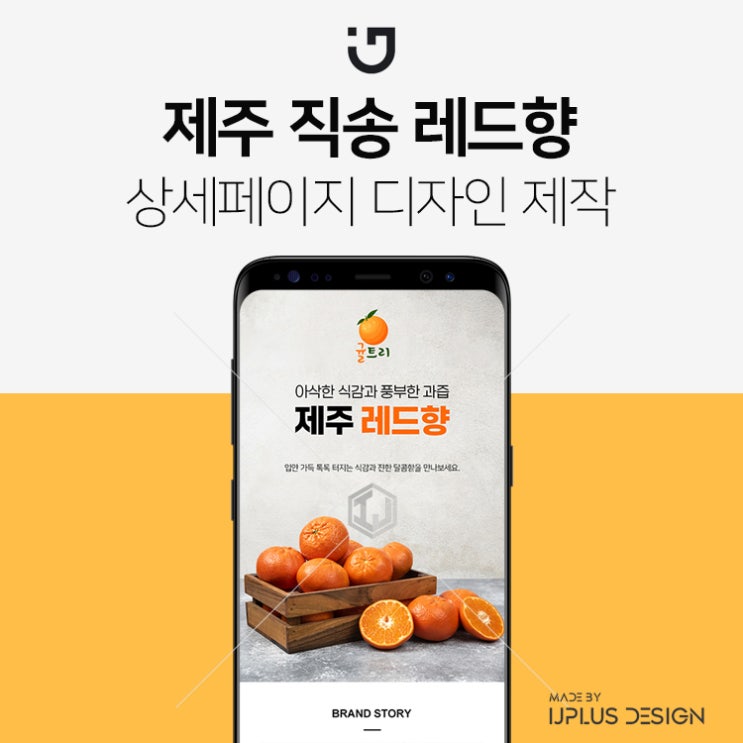  산지직송 제주 레드향 고품질 디자인 상세페이지 제작