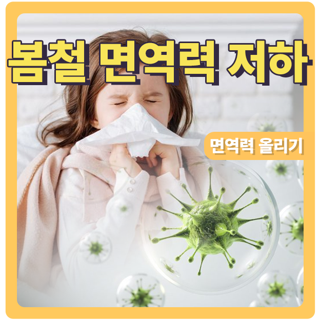  봄철 면역력 높이는 방법