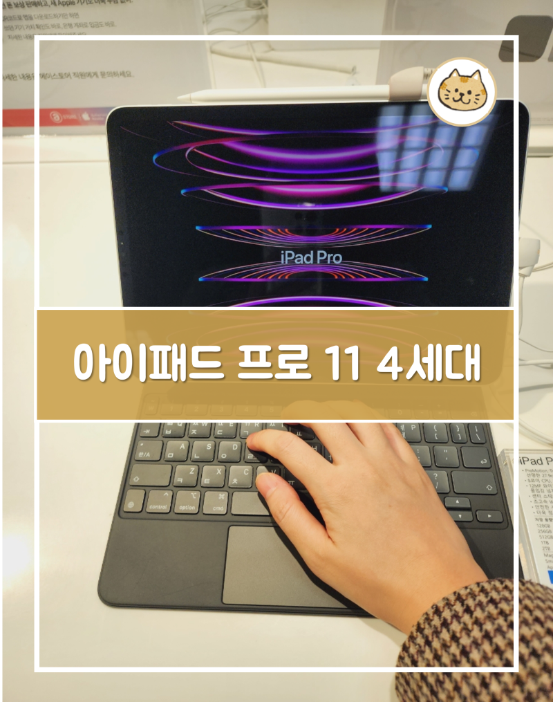 아이패드 프로 11인치 4세대 크기 구매 전에 알아야 할것은?
