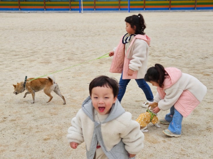  애셋개둘 즐거운 바깥 나들이 하기 ft. 초등학교 첫 등교