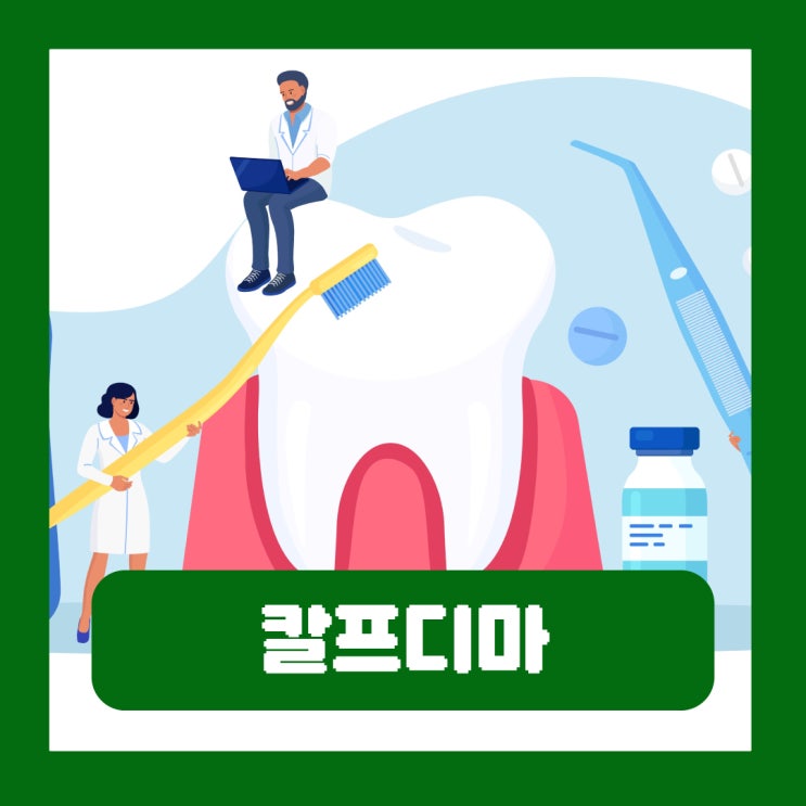  잇몸 영양제 치아 건강 관리 구성 성분 효능
