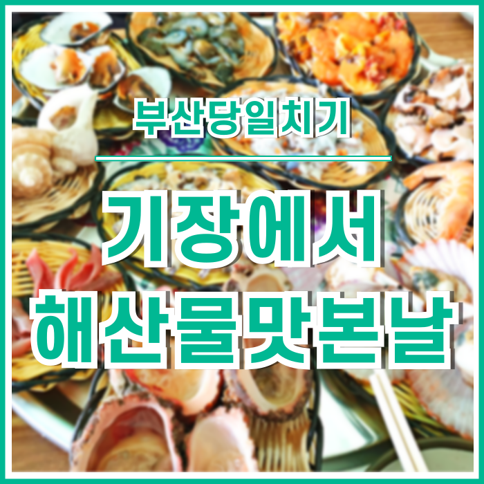  [일상] 기장 해물포장마차촌 할매집에서 맛본 풍성한 해산물