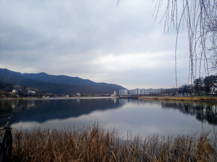 새<b>진보연합</b> 오준호, <b>대구</b> 수성을 <b>민주진보</b> 단일후보 출마!