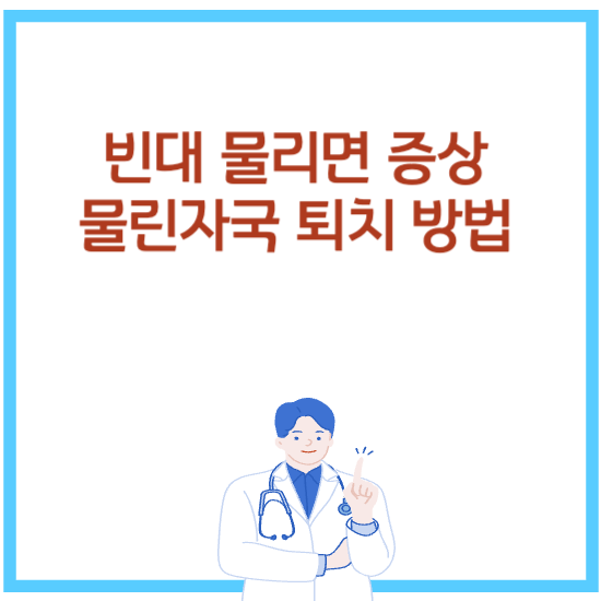  빈대 물리면 증상 물린자국 퇴치 방법