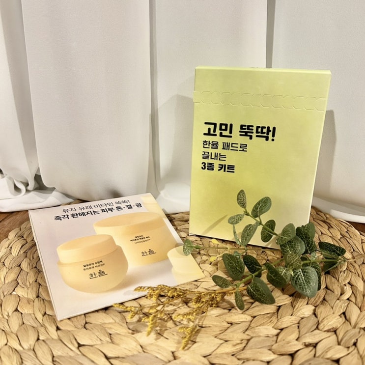 [뷰티] 달씨 Pick! 한율 달빛유자 비타톤업 애플존 패드