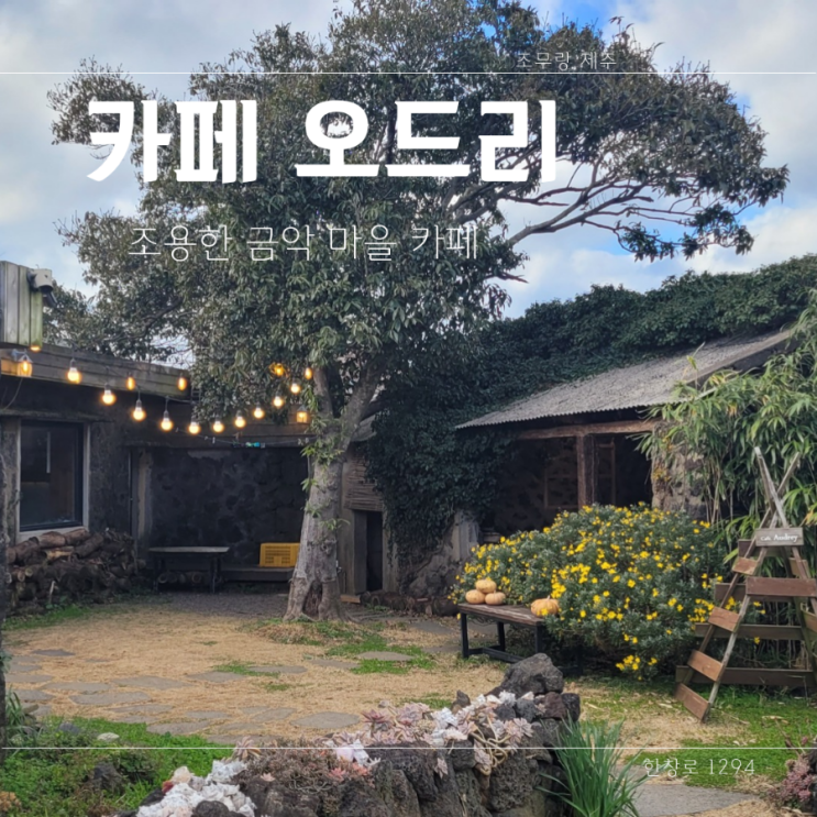  [카페 오드리] 한림 금악 제주 감성 카페 추천 오드리 새별오름 근처 제주 서쪽 카페 추천