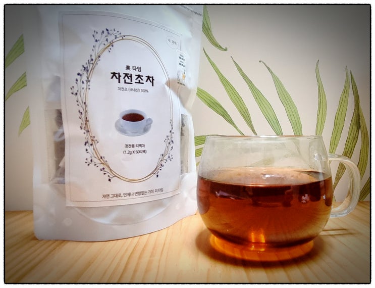  질경이 질경이차 효능 차전초 차전초차 / 환절기 건강 건강한 차/기침 편도염 기관지염