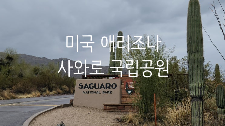 미국 서부 애리조나 투손 사와로 선인장 국립공원 사구아로 동쪽 여행 Saguaro National park