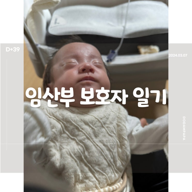 2024.03.07 임산부 보호자 일기 D+39일 2024.03.07 임산부 보호자 일기 D+39일