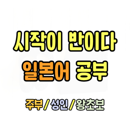  고성 왕초보 일본어회화 성인 주부일본어 일본여행 지금부터 프리토킹