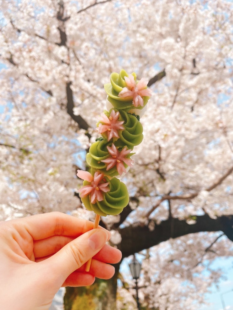 일본 도쿄 아사쿠사 맛집 스즈키엔 녹차아이스크림 벚꽃당고