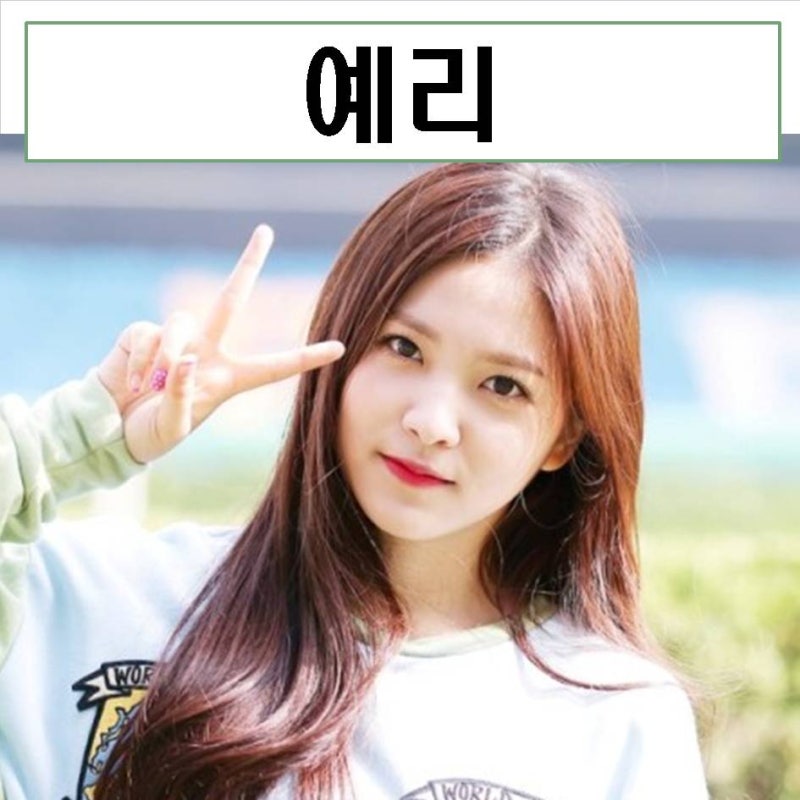 레드벨벳 예리 mbti 합류 나이 비키니 몸무게 키 몸매 본명