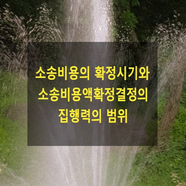  소송비용의 확정시기와 소송비용액확정결정의 집행력의 범위