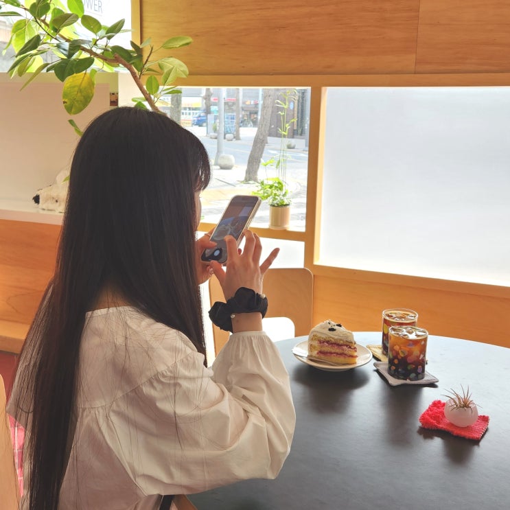  대전 은행동 데이트 크리켓사운드 강아지 카페