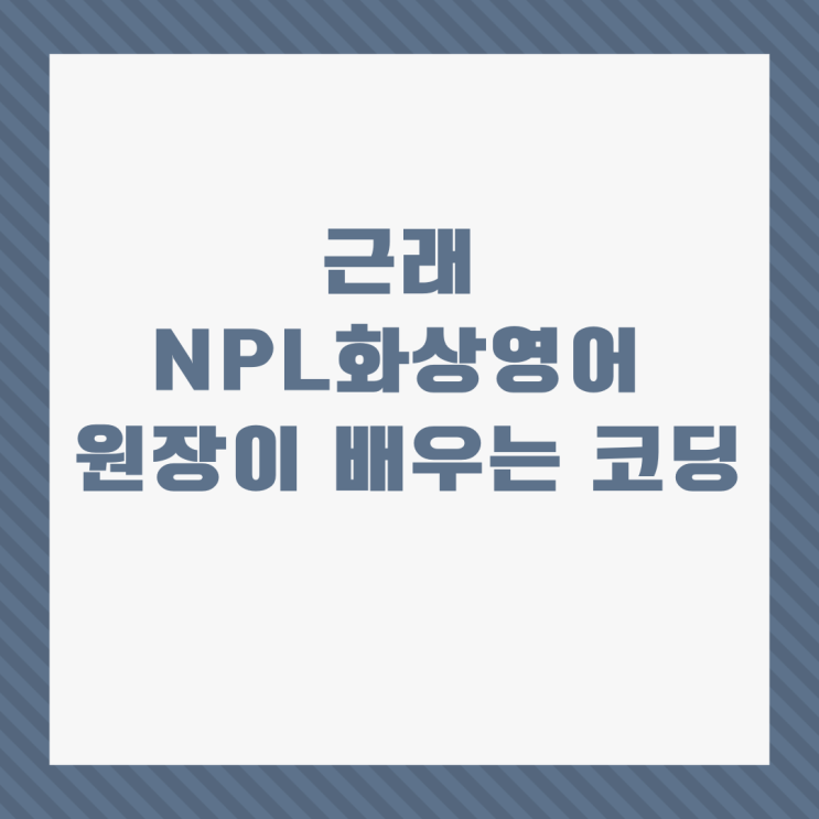 근래 NPL화상영어 원장이 배우는 코딩