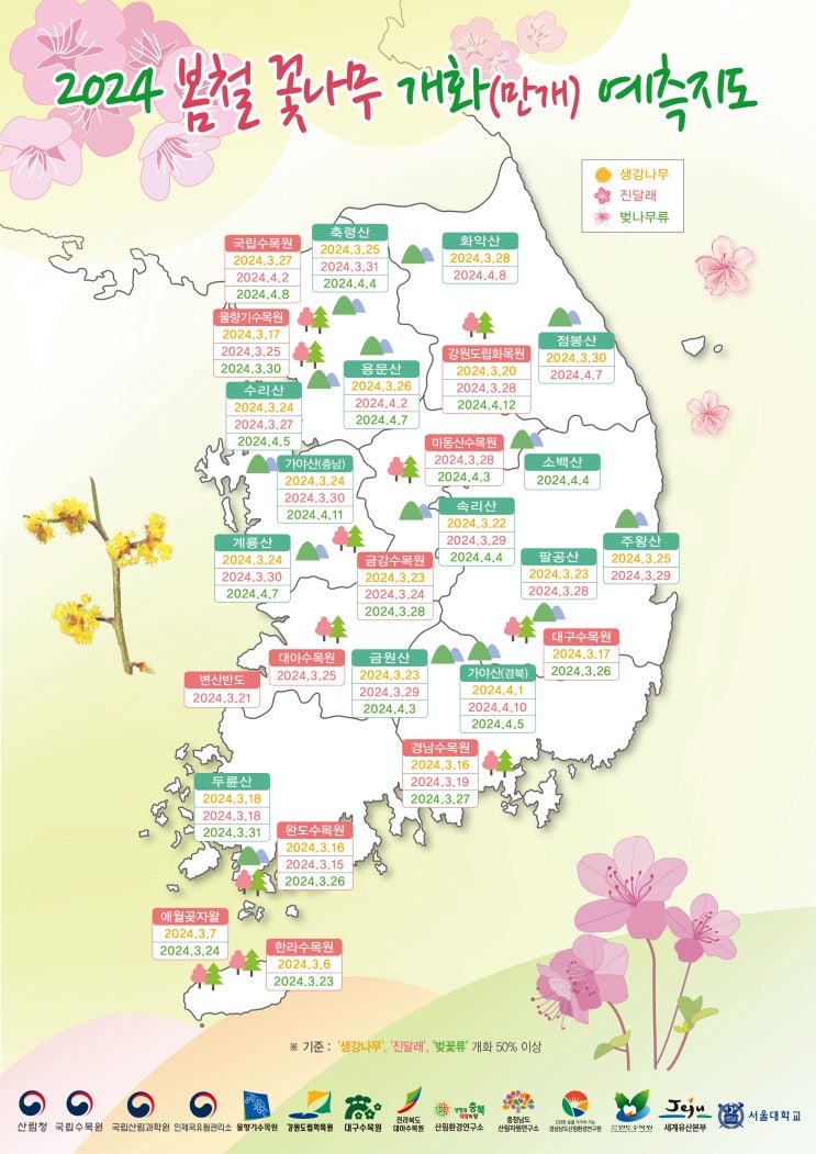[국내 여행 정보] 국내 꽃나무 개화시기 벚꽃 진달래 생강나무 개화시기