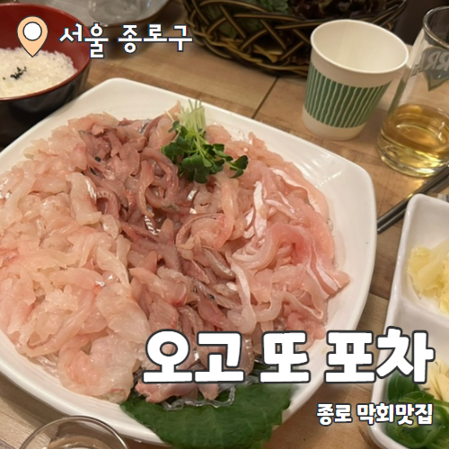  오고또포차 : 막회 제대로 먹을 수 있는 종로맛집 내돈내산 후기