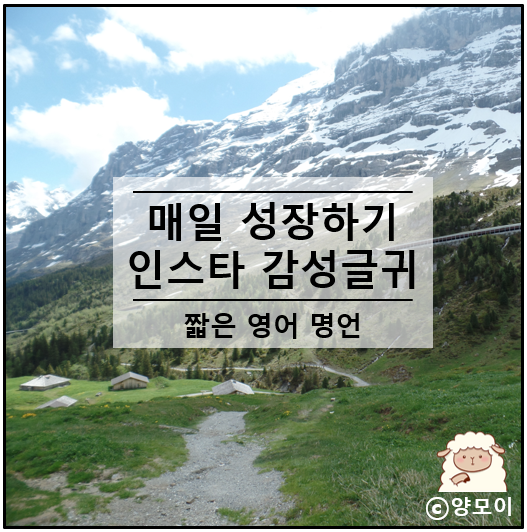  인스타 감성 글귀, 짧은 영어 한줄 명언 사진 피드 올리기 해볼까