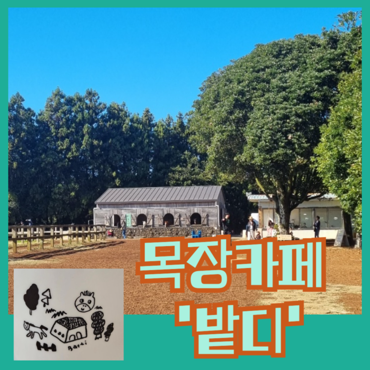  이색자전거와 승마체험이 가능한 목장카페 밭디 사진찍기 좋은곳 with 제주올패스