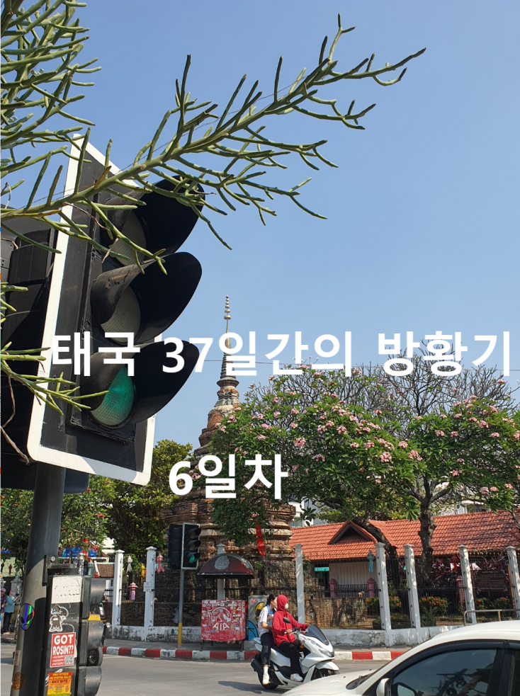  [태국 37일간의 방황기] 6일째 치앙마이 Huen Hug Guest House See you soon 왓 체디 루앙 Pad Thai Rachadamnoen 식당 삼왕성 란나스퀘어