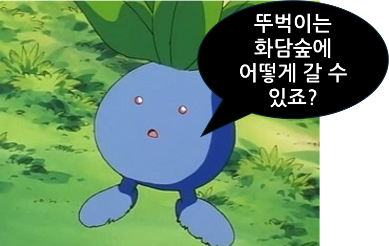 [화담숲 뚜벅이로 가는법] 자동차 없이 화담숲 가는 방법
