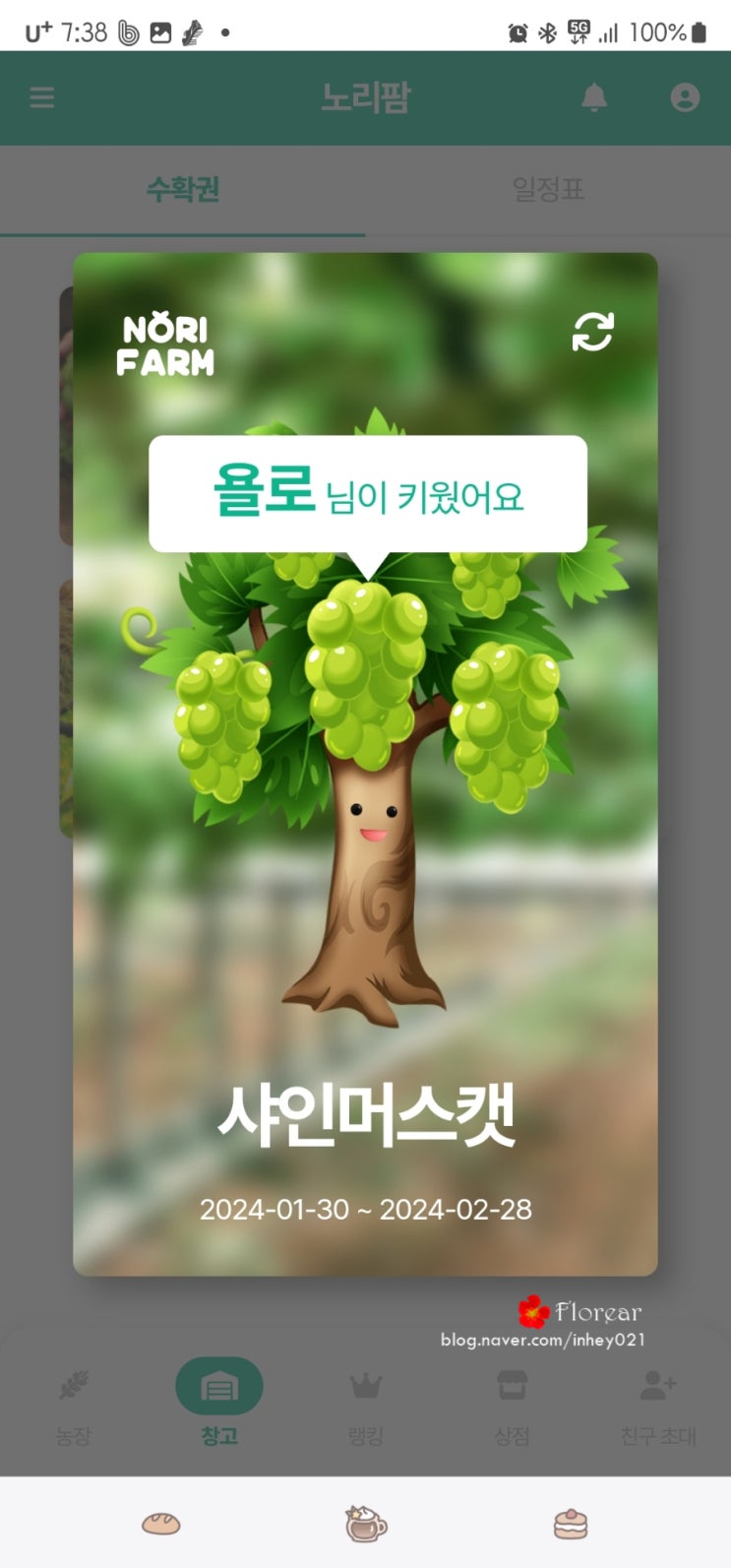 노리팜 무료과일 너무 좋아 노리팜 무료과일 너무 좋아