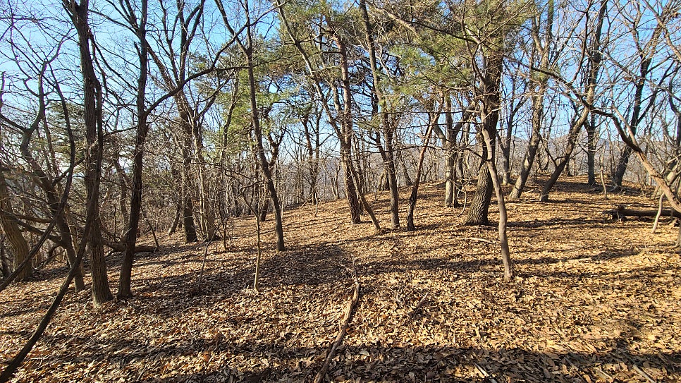 벽암산 사진 6