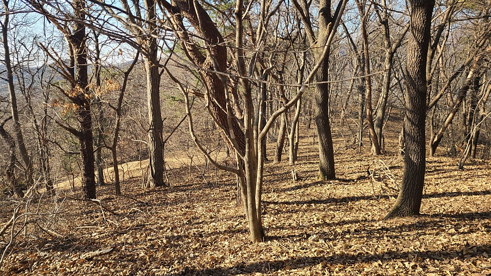 벽암산 사진 4