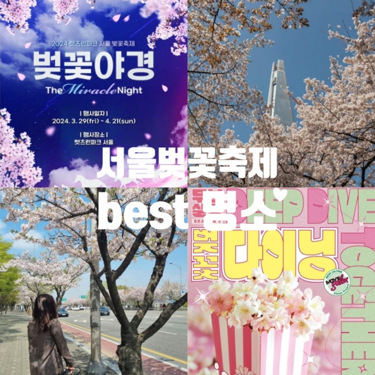 2024년 서울벚꽃축제 벚꽃명소 BEST 모음 개화시기