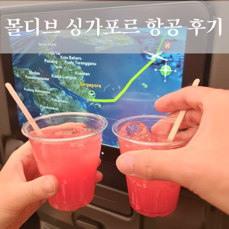  몰디브 싱가폴 50분 경유 싱가포르 항공 꿀팁 후기 특별 기내식 기념일 케이크 서비스 신청방법