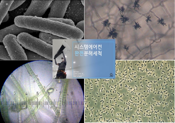  에어컨의 가장 흔한 5가지 세균들