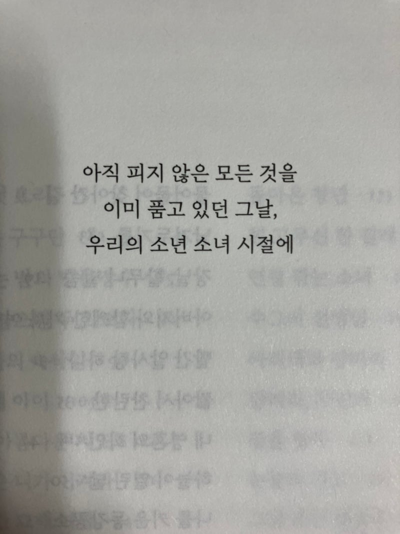 꽃소년 이미지