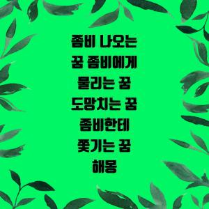 좀비 나오는 꿈 좀비에게 물리는 꿈 도망치는 꿈 좀비한테 쫓기는 꿈 해몽