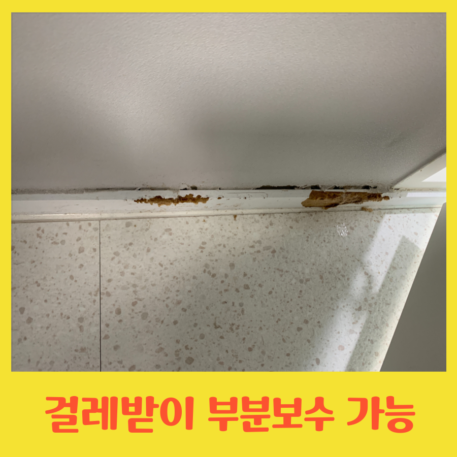 걸레받이 부분보수 가능한 곳