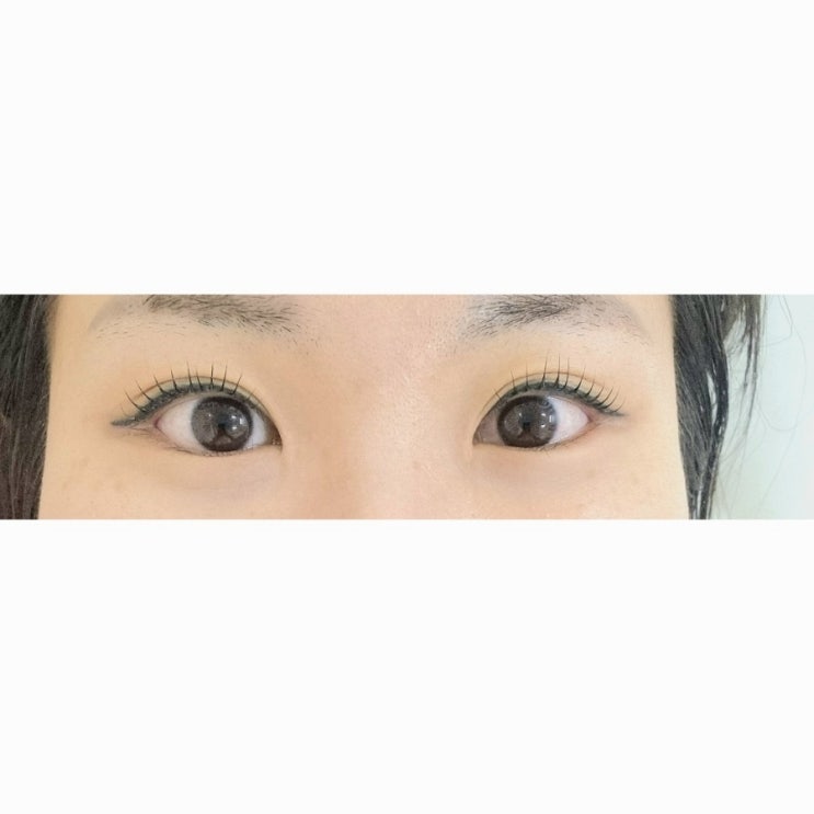  [ 을지로속눈썹 중구속눈썹 ] 해이브제스튜디오 컬링 진짜 예쁨 !!