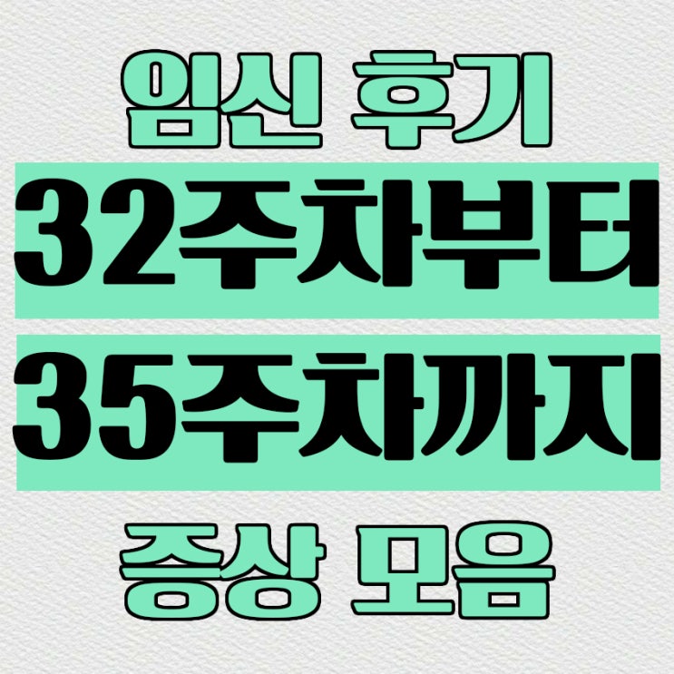  임신9개월차 후기 32주차부터 35주차까지 증상모음, 가진통 진진통차이, 만삭사진시기