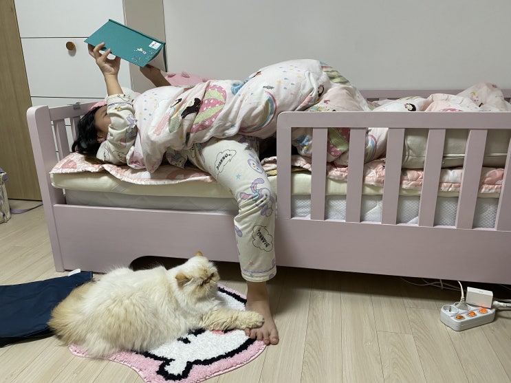  고양이 일상