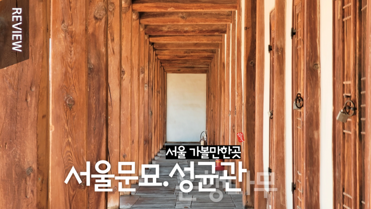 서울 가볼만한곳 _ 문묘 & 성균관 대학교 ., 은행나무 천연기념물