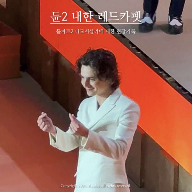  듄 파트2  티모시샬라메 내한 레드카펫 영등포 타임스퀘어 현장 기록