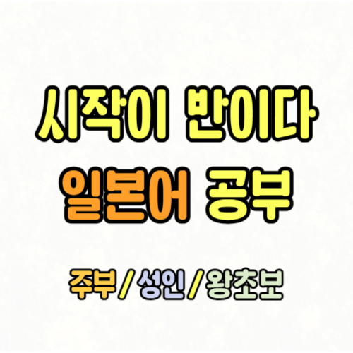 포항 기초 일본어회화 성인 주부 시니어 일본여행 워홀 프리토킹 가능