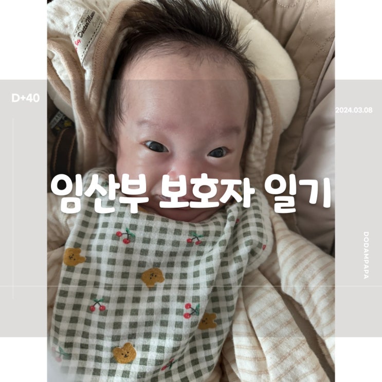 2024.03.08 임산부 보호자 일기 D+40일 2024.03.08 임산부 보호자 일기 D+40일