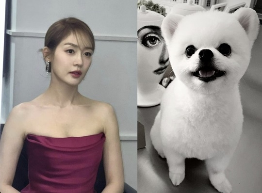 <b>성유리</b>, <b>반려견</b> 밍밍 죽음에 애틋 심경 "엄마 딸로 와줘서 너무... 