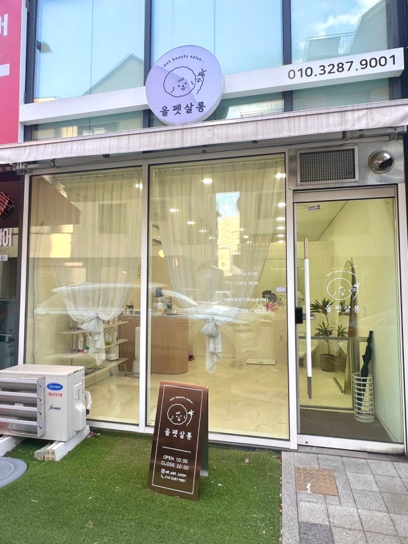 사진 4