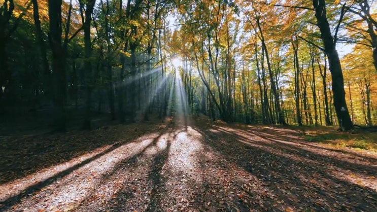  산업안전기사 강의 학점은행제 비용 정리해봤어요 ?